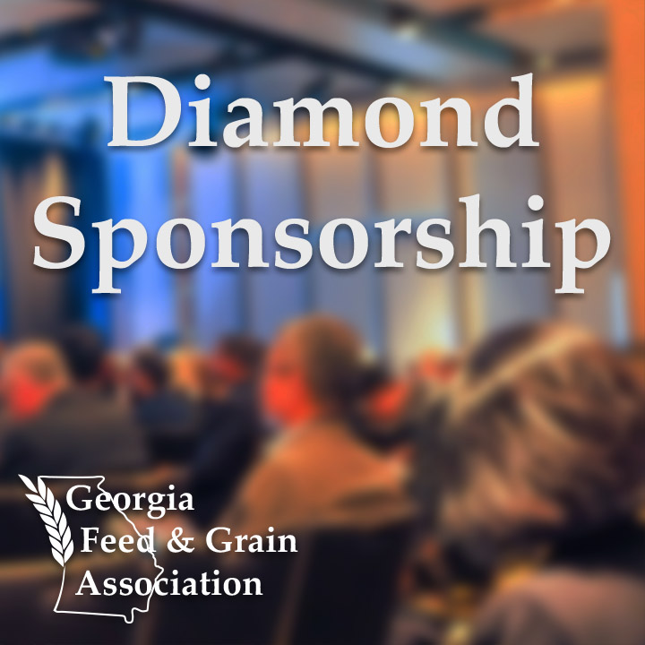 Conference Diamond Sponsorship